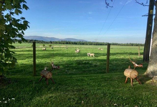South Doll Farm Cottage Airth Esterno foto