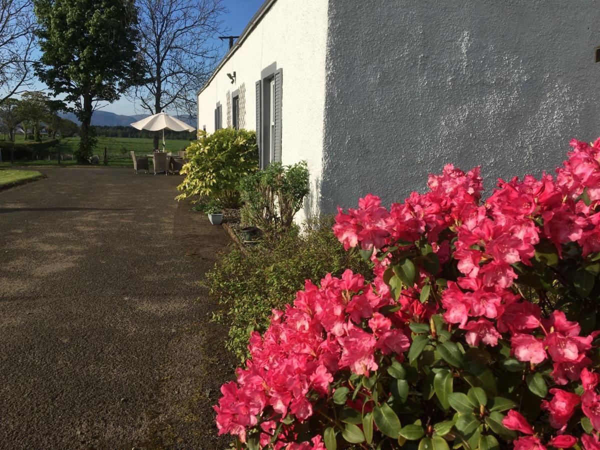 South Doll Farm Cottage Airth Esterno foto