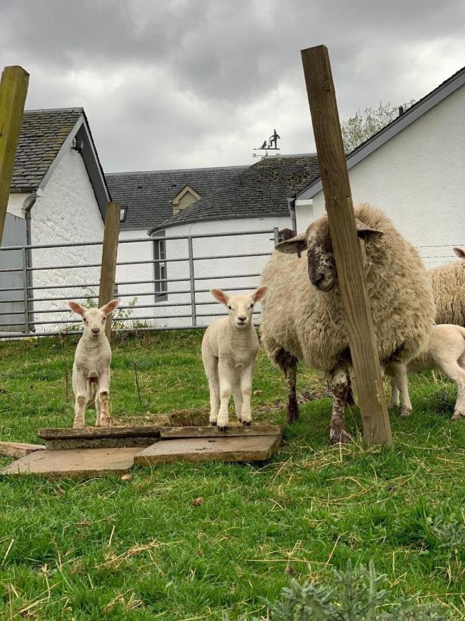South Doll Farm Cottage Airth Esterno foto